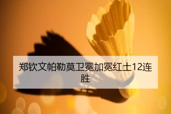 zheng-qin-wen-pa-lei-mo-wei-mian-jia-mian-hong-tu-lian-sheng-2-919.jpg