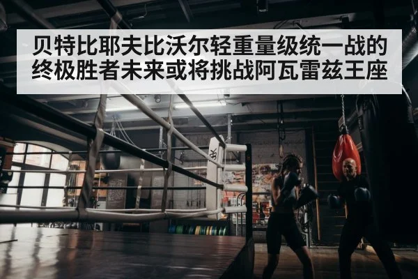 boxer training