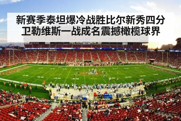 American football stadium crowd