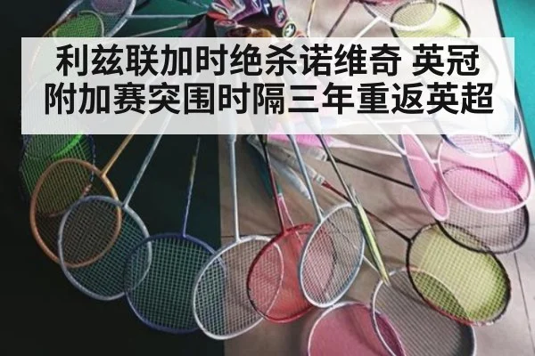 利兹联加时绝杀诺维奇 英冠附加赛突围时隔三年重返英超