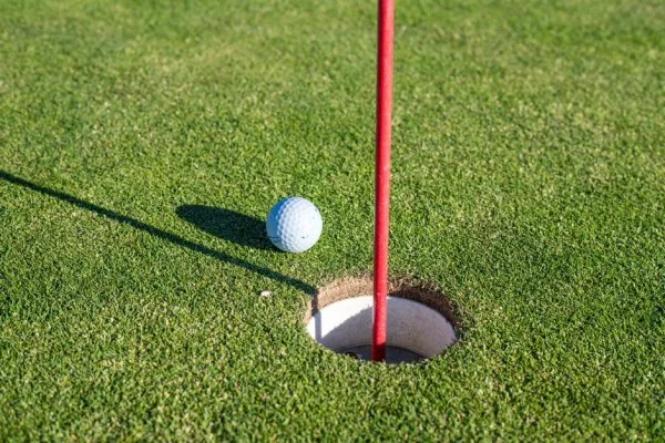 golf putting green close up